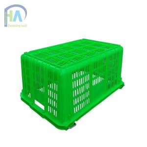 Thùng nhựa rỗng HS011 giá cạnh tranh
