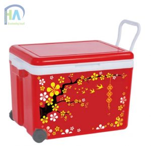Thùng đá 35 lít DDT cao cấp