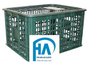 Rổ xoài nhỏ cao cấp, giá cực hấp dẫn tại Phú Hòa An