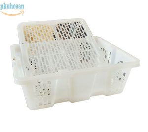 Rổ nhãn thái 7 kg màu trắng thiết kế thông minh, giá cực sốc