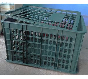 Rổ sầu riêng CT giá cạnh tranh trên thị trường