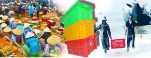 Thùng nhựa đựng hải sản được bà con ưu tiên sử dụng