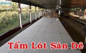 Ứng dụng của tấm lót sàn dê trong ngành chăn nuôi dê tại Việt Nam