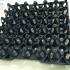 Khay trứng bằng nhựa 30 quả