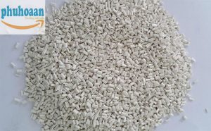 Hạt nhựa nguyên sinh PET